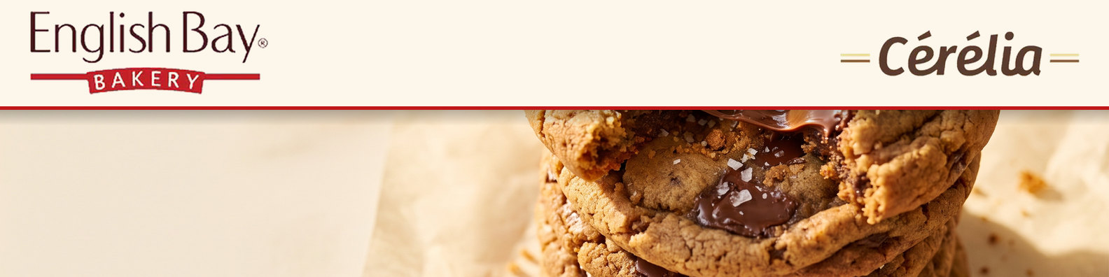 LinkedIn banner